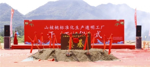 【一线投影】临安区年产10000吨山核桃标准化生产透明工厂项目开工！
